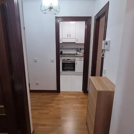 Vizcaina Apartamento Apartment Gijon